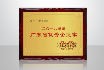 喜讯│江南体育集团总裁王妙玉再获年度广东省优秀企业家荣誉